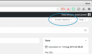 WordPress Screen Options