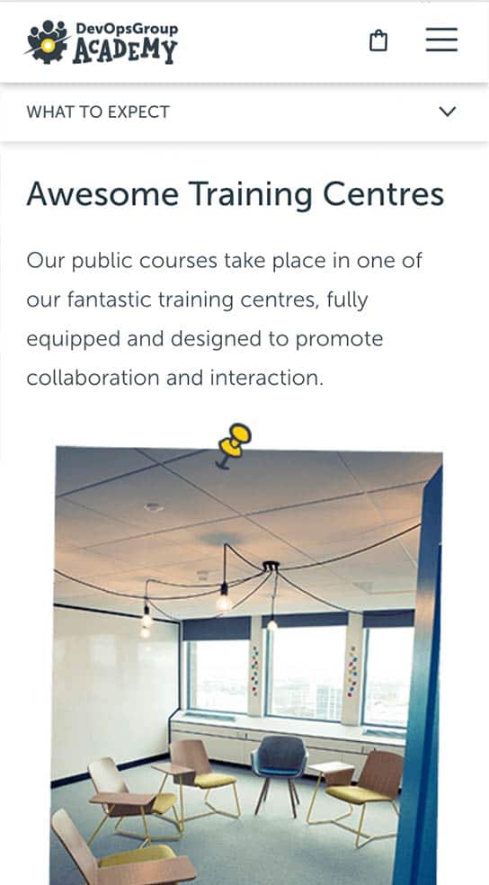 What To Expect Mobile View at DevOpsGroup Academy